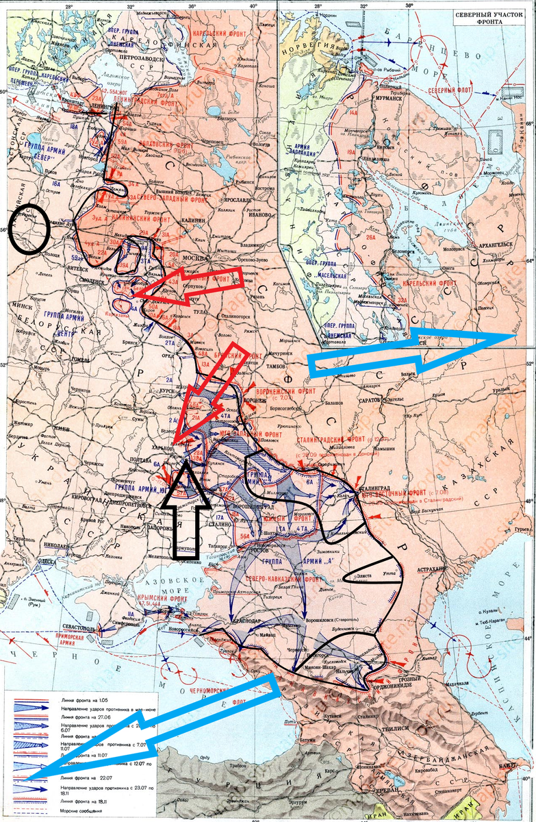 (Фото взято из открытых источников).