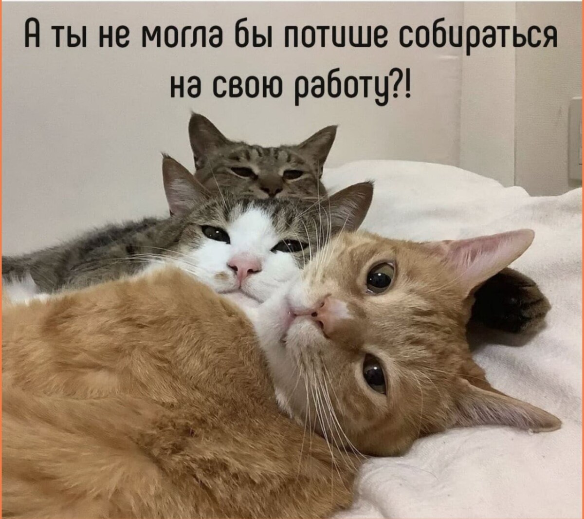 источник Яндекс-картинки