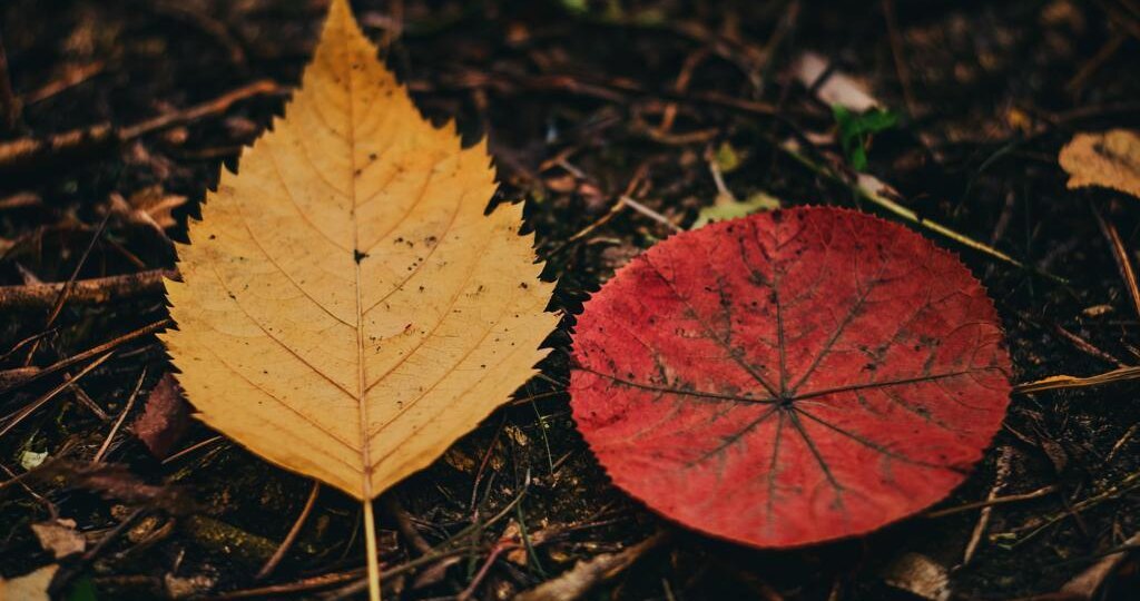 Психологический тест: что мне обязательно нужно сделать этой осенью