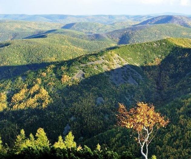 горный хребет Хинган на Дальнем Востоке