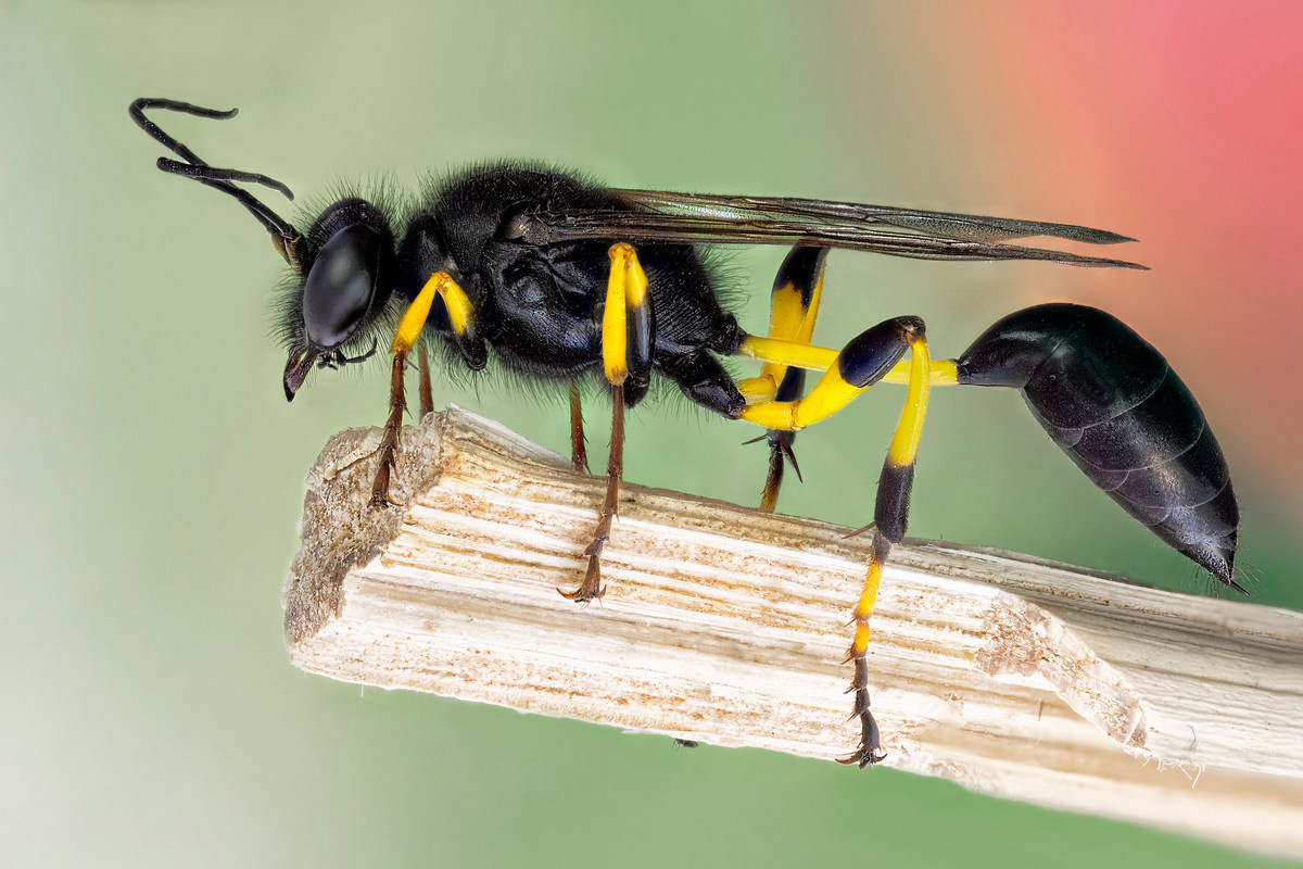 Фото из свободного доступа. 