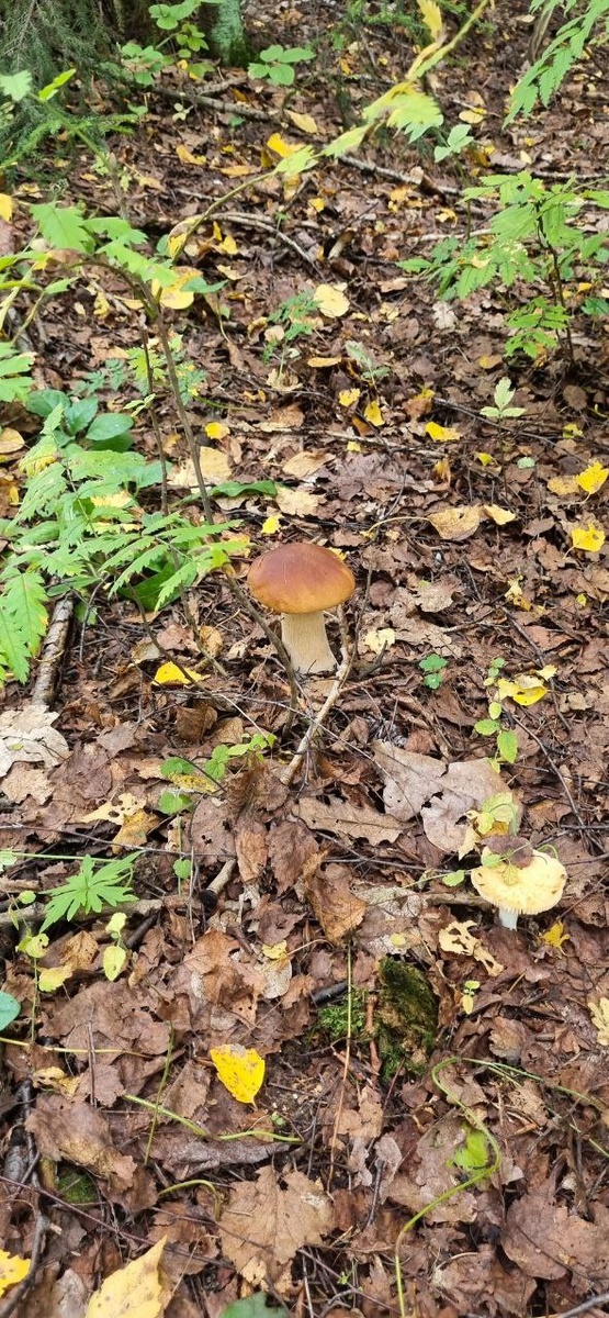 Фото из архива автора 