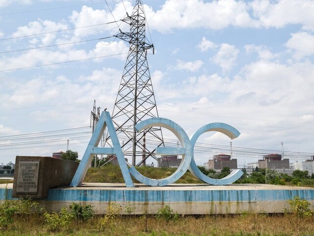    Фото: ТАСС/Александр Полегенько