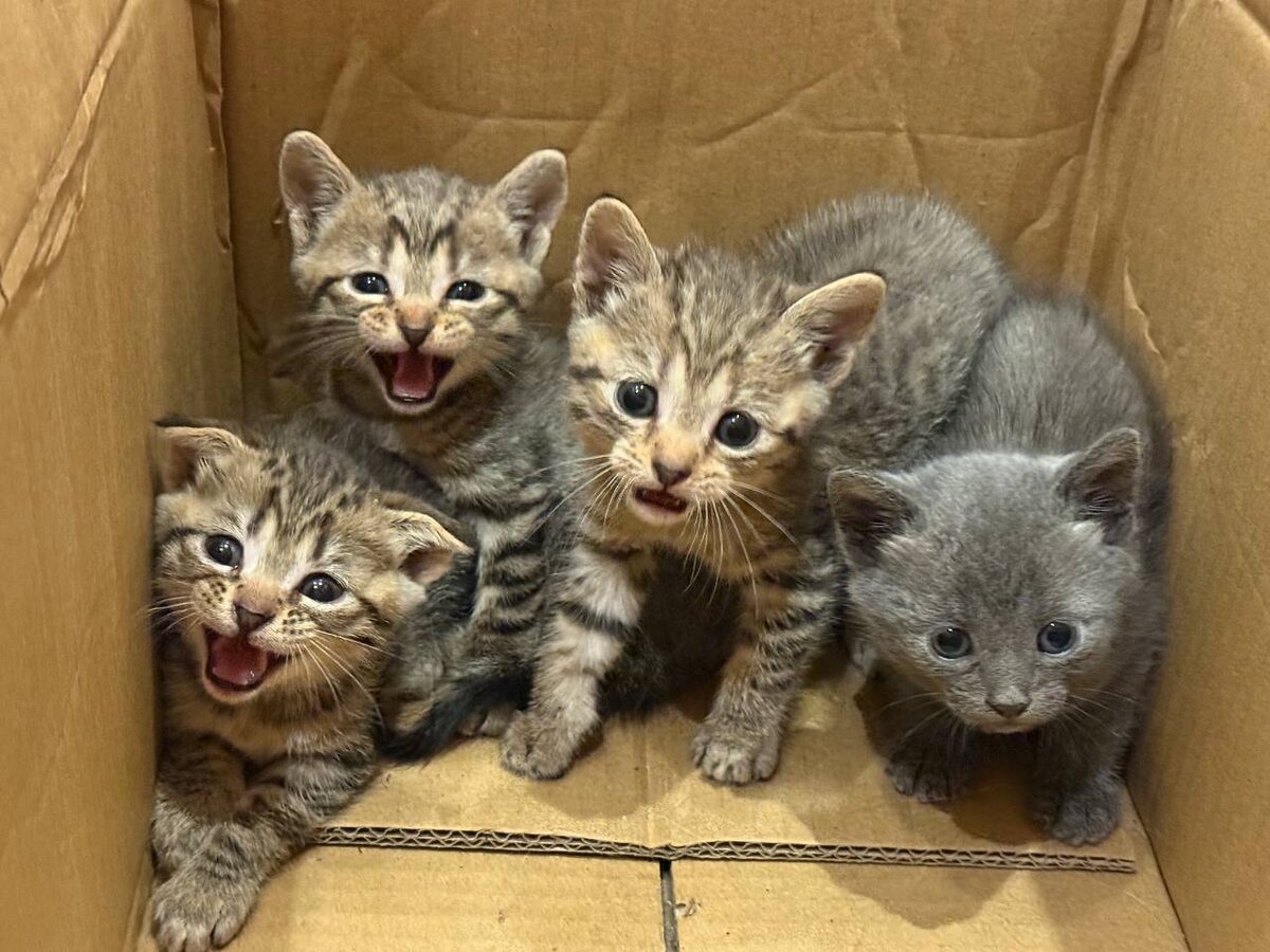 Пока что все на стрессе. Фото из архива автора