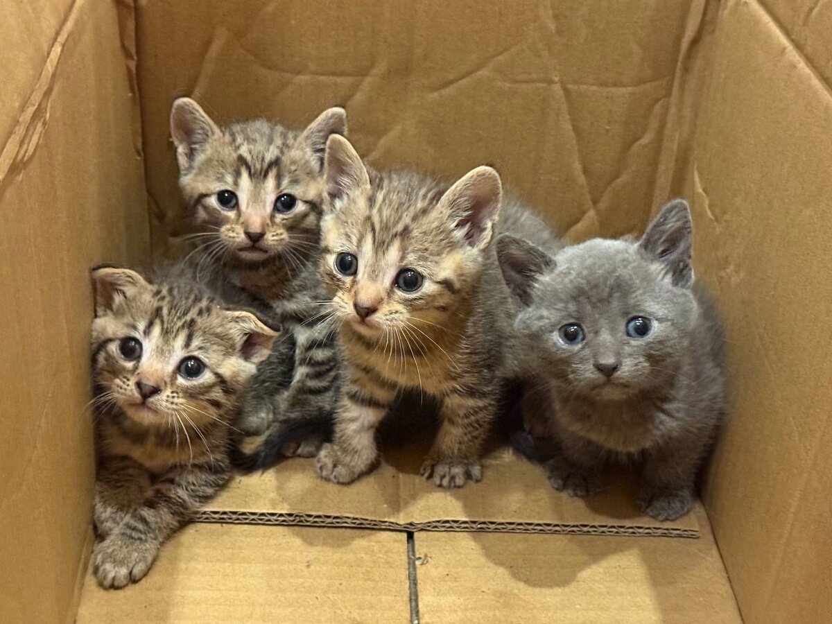 Но один другого милее. Фото из архива автора