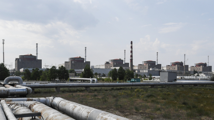    Фото: © РИА Новости/Константин Михальчевский