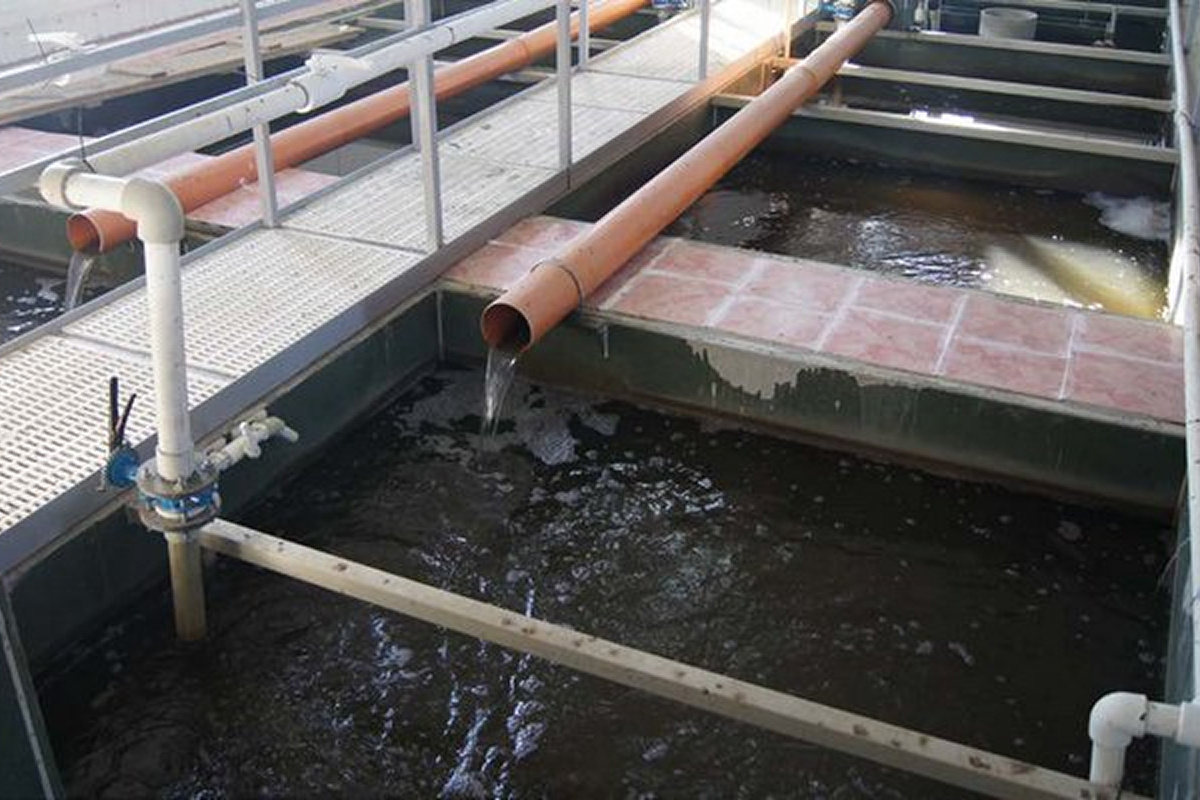    Фото: avrora-arm.ru