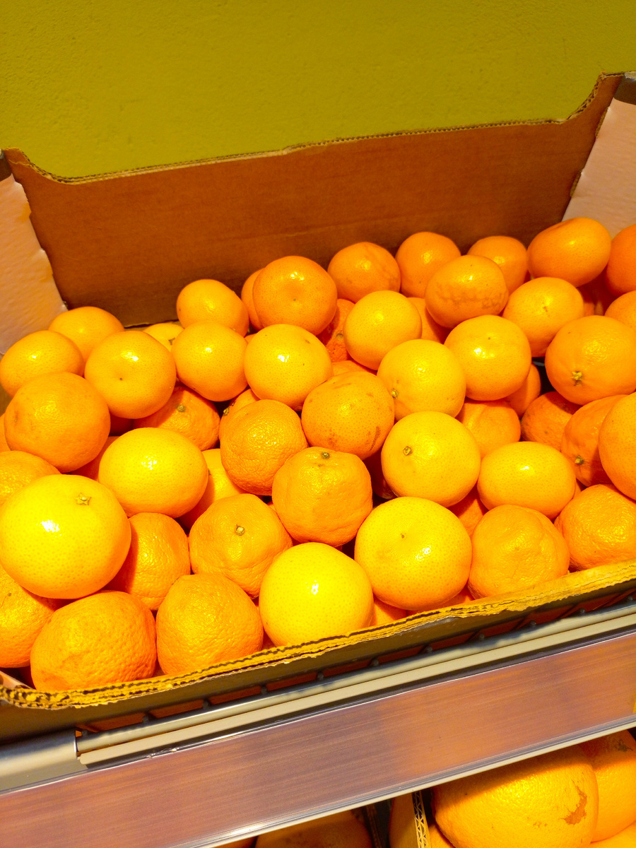 Фото сделано автором канала