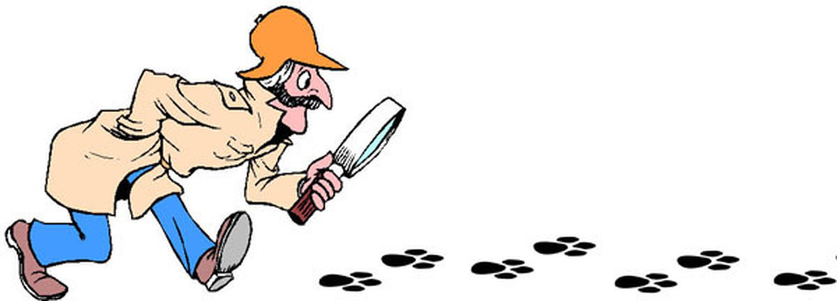 ФБР взяли след