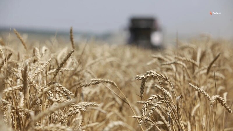      Фото: ИА «Победа26»