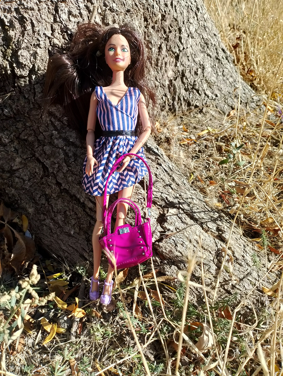 Вот София ещё с сумкой