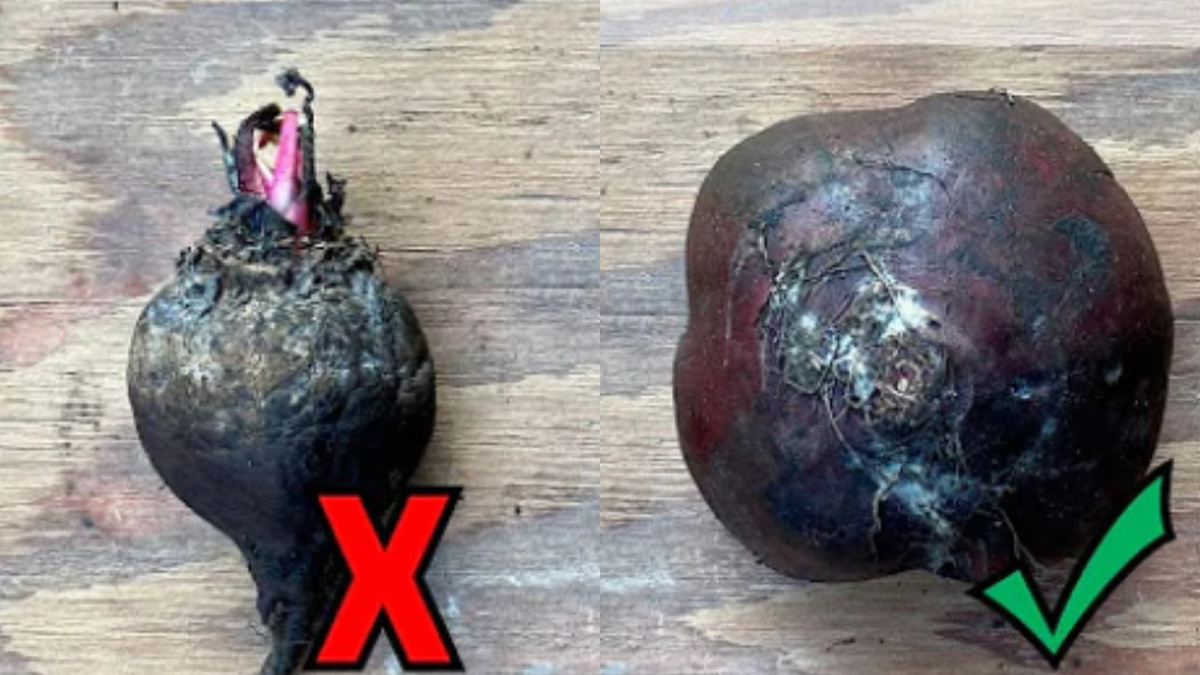 Результат неправильного хранения против метода с картофелем