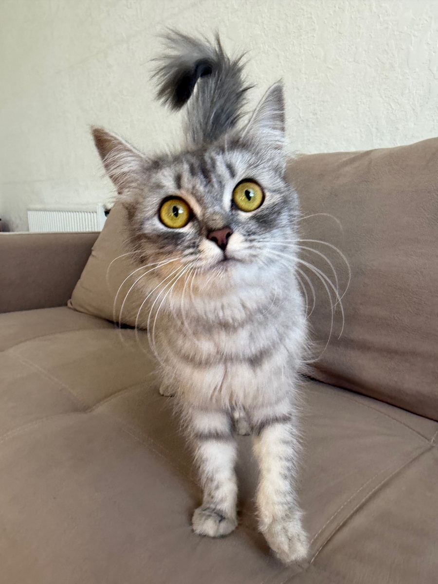 Мне кажется, Соня сама в шоке. Фото из архива автора