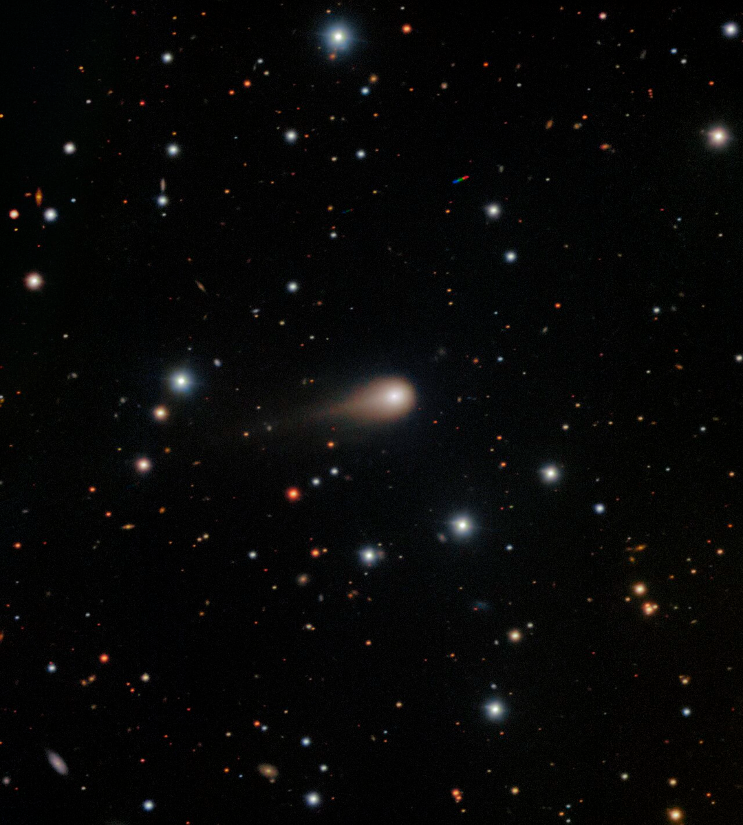 Комета 3I/ATLAS в объективе телескопа Gemini South, сентябрь 2025 года. Фото — International Gemini Observatory.