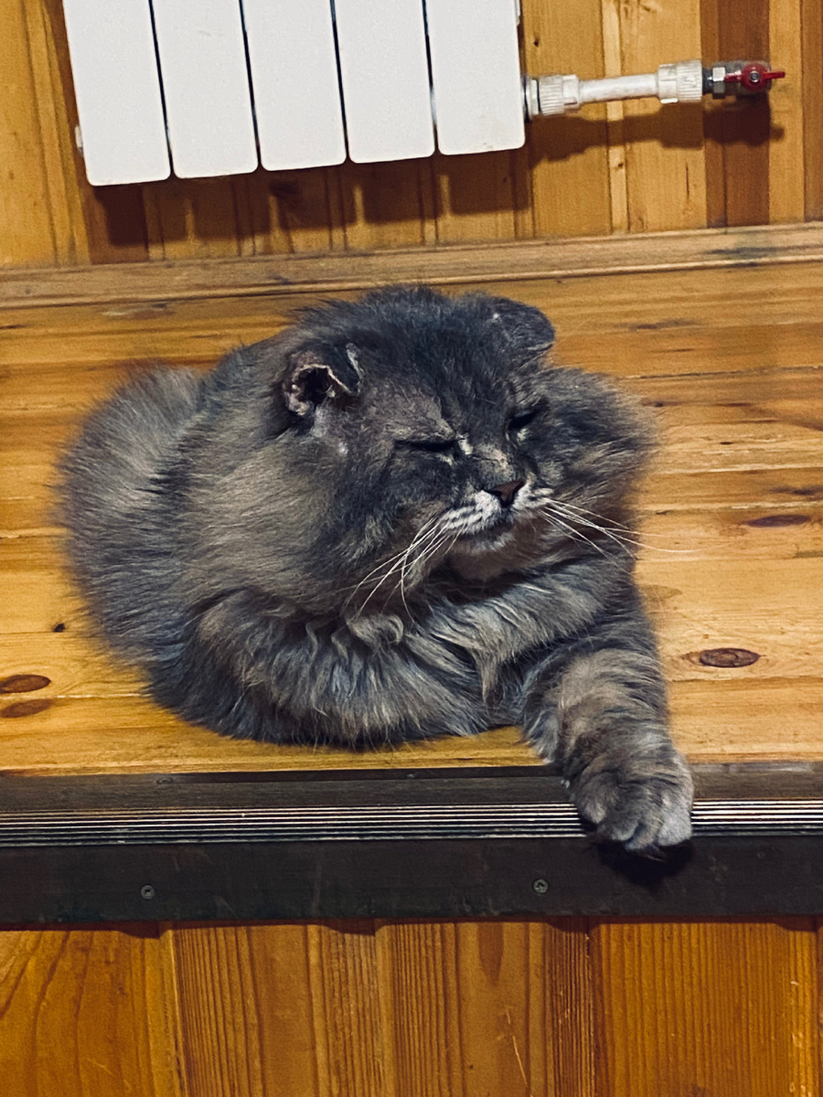 Садись рядом! Пообщаемся!