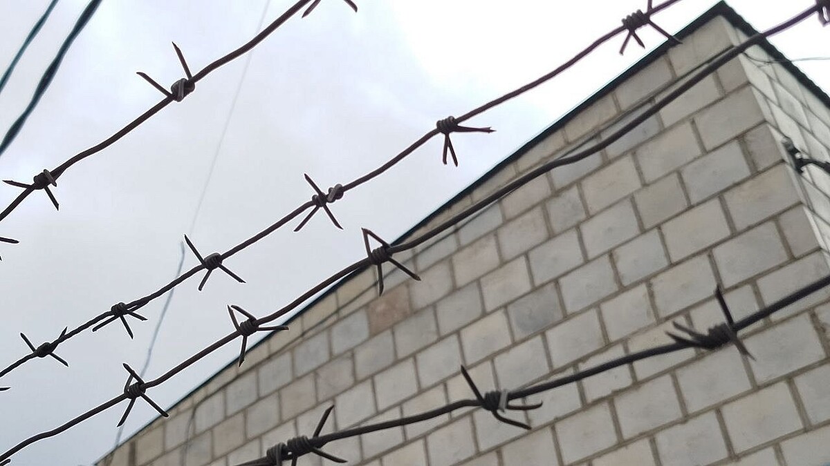    Фото: телеканал «Краснодар»