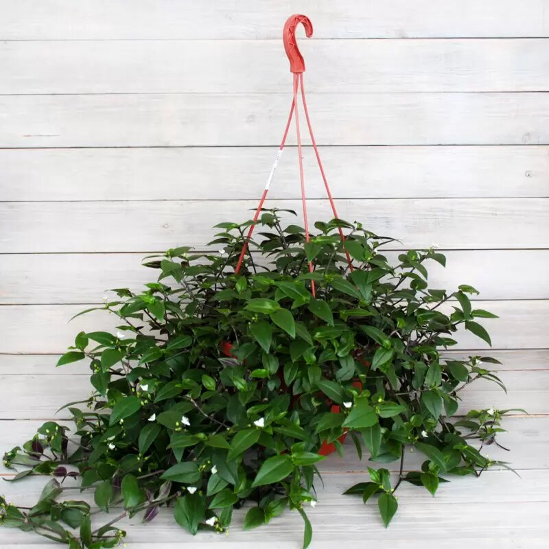 ( фото взято из открытых источников для примера)