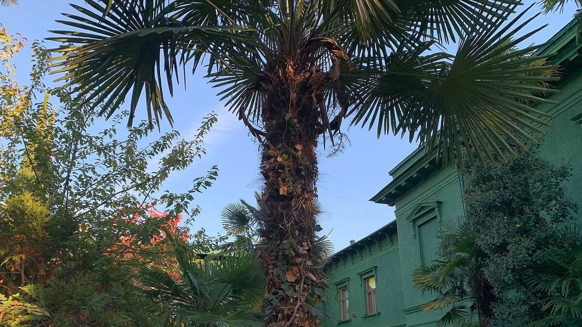    Фото: телеканал «Краснодар»