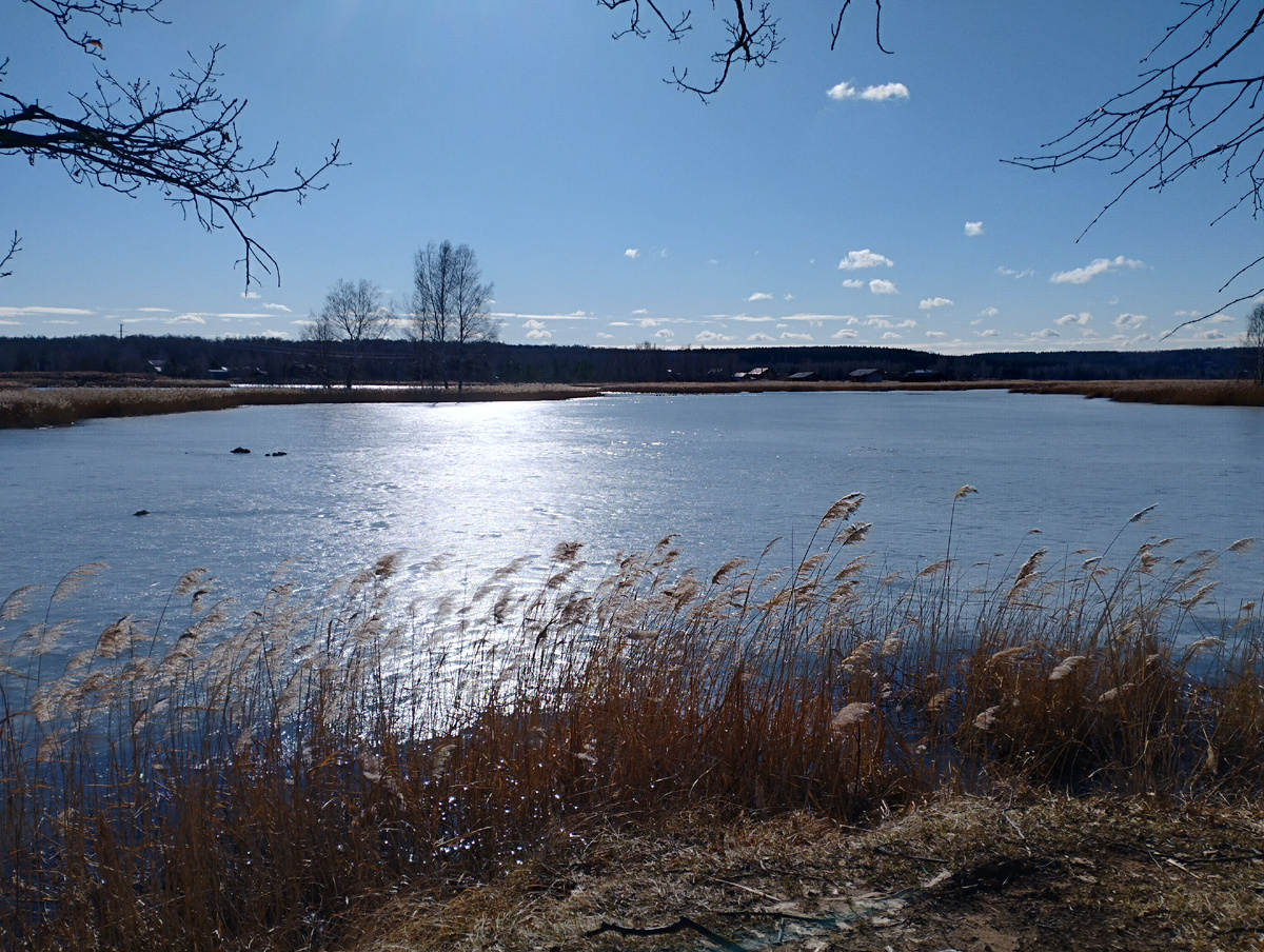 Тосканка в весеннюю пору