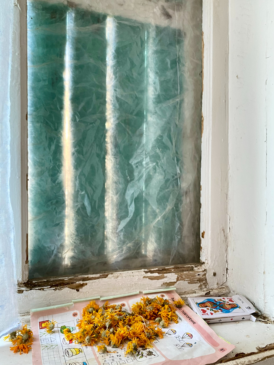 Милое соседство: календула, обучалка для дошкольника и игральные картишки)) Фото из архива автора