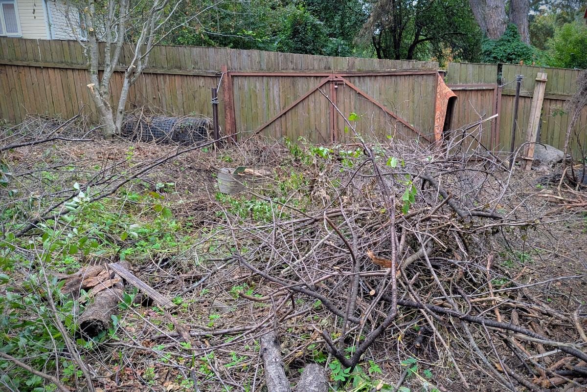 Ветки и палки