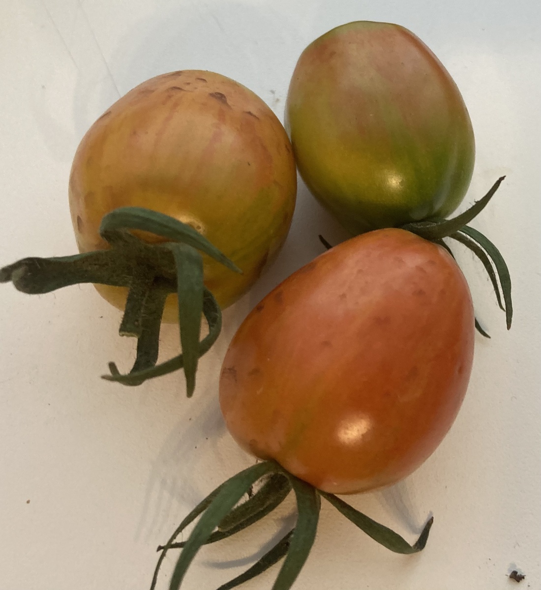 Основные цвета, 2025