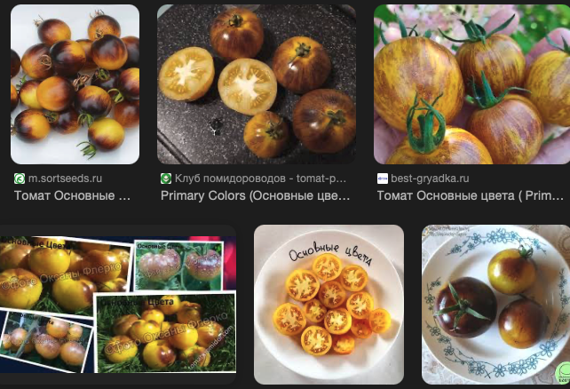 Скриншот поискового запроса "Томат основные цвета. Картинки" поисковой ситстемы google