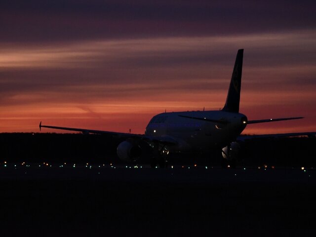    Фото: Москва 24/Никита Симонов