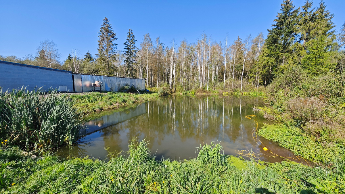 Что таят в себе мутные воды?
