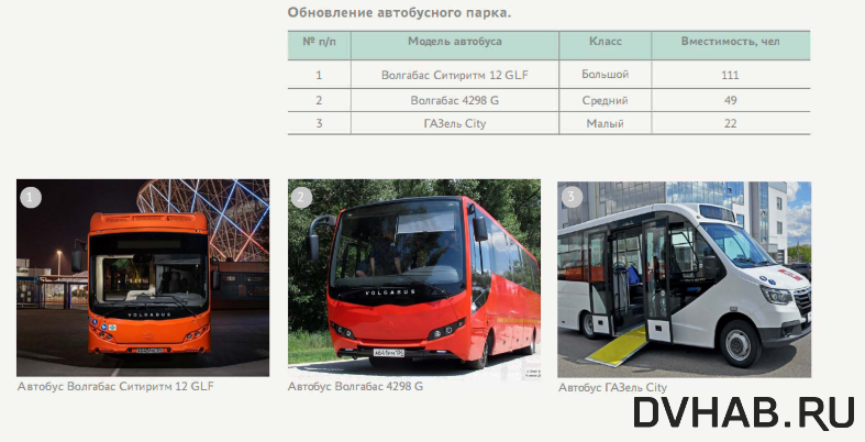    Варианты автобусов для закупки в автопарк Хабаровска