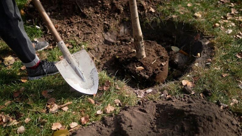    Фото: BLGKV / Shutterstock / Fotodom