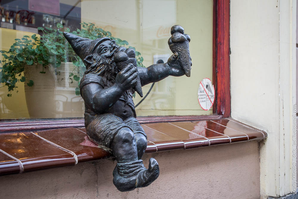 Гномик из Вроцлава