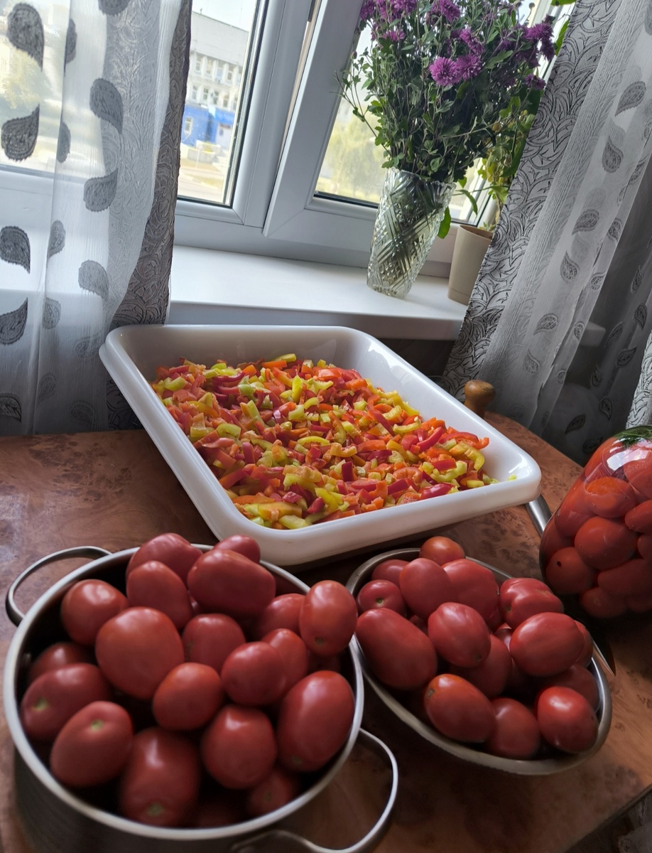 Все фотографии в статье паторские