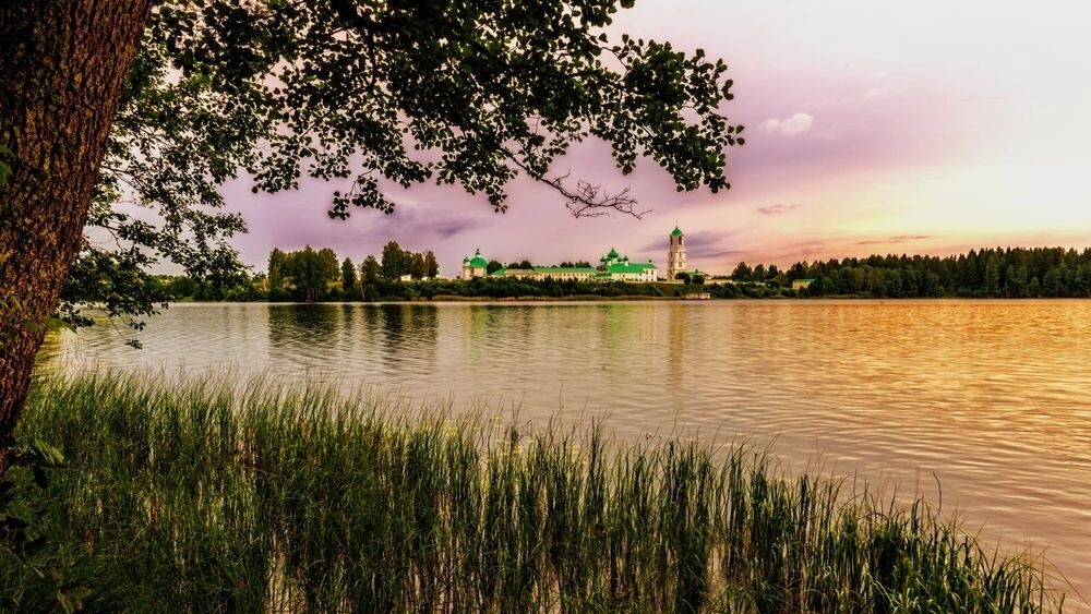    Фото: Vladimir Usharov/Shutterstock/Fotodom