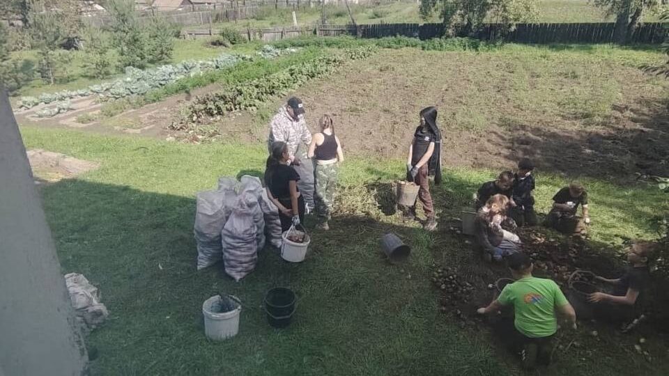 🧑‍🌾👩‍🌾👨‍🌾Практически во всех школах Краснотуранского района дети совместно с учителями сажают школьные огороды