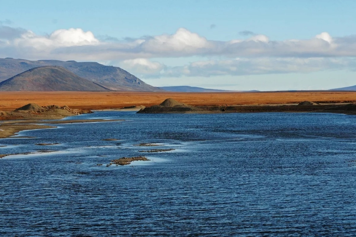    Фото: Андрей Шапран, источник: РИА Новости