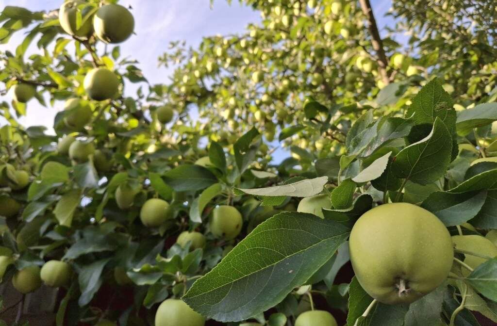    Фото Валерии Стальной. admin
