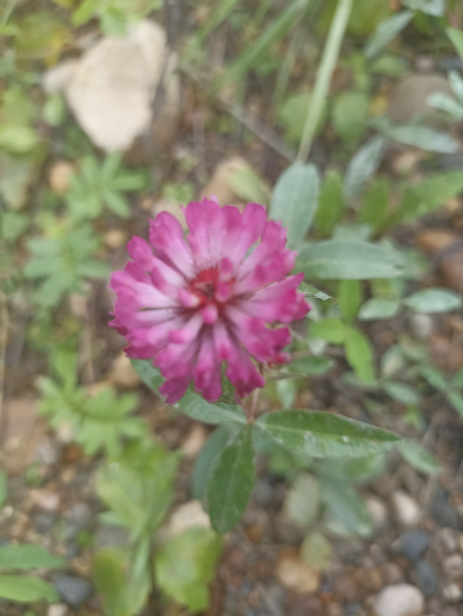 Просто фото