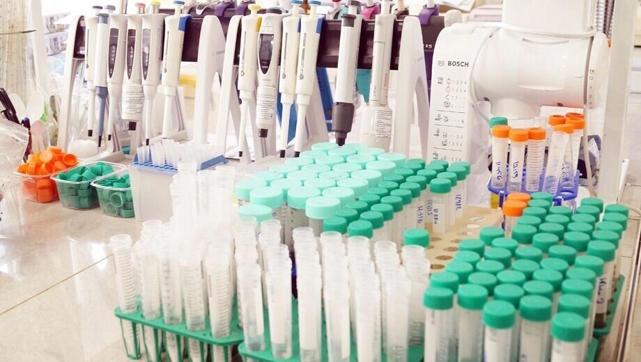 Хотя число инфекций C. auris растет, при отсутствии систематического надзора и обязательной отчетности истинные масштабы проблемы, вероятно, занижены, говорят эксперты. Фото: 1MI