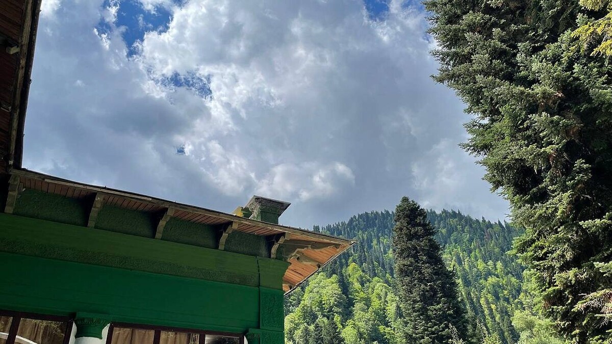    Фото: телеканал «Краснодар»