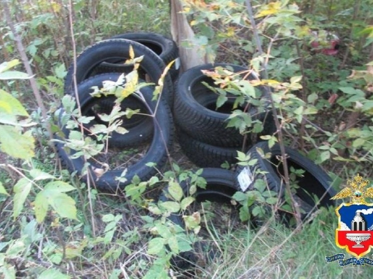     Фото: ГУ МВД по Алтайскому краю