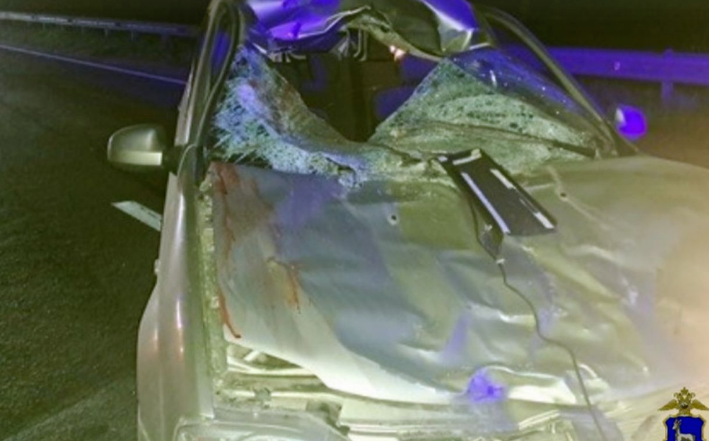    Фото: ГУ МВД России по Самарской области