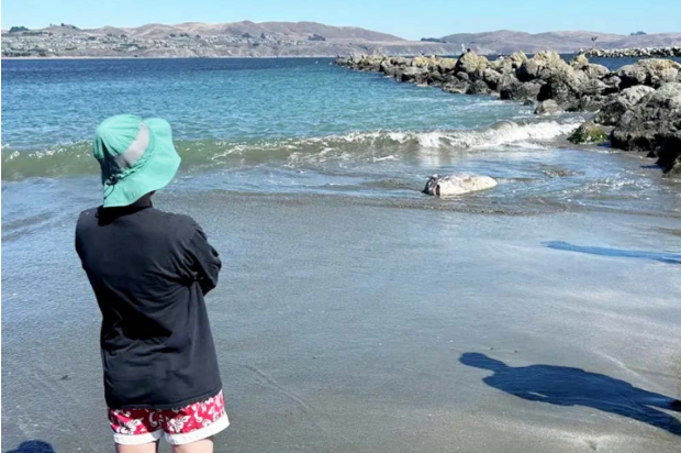    Фото: социальные сети