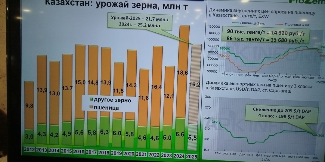 Что у соседей