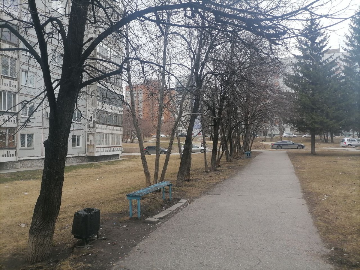 Наступают холода.  Фото: Фото: ФедералПресс / Екатерина Ломакина