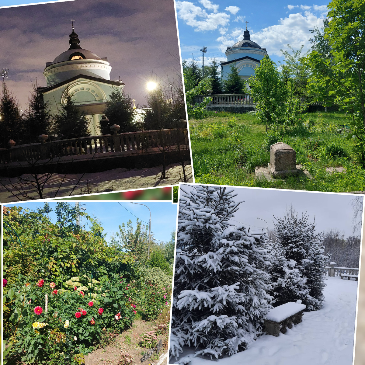 Фото автора.