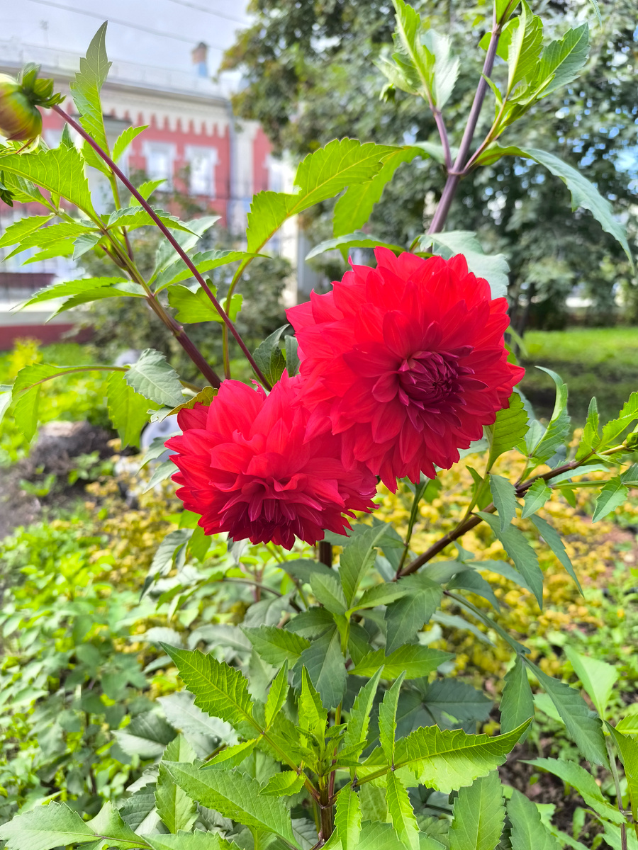 (© Анна, «Маяк энерджайзера»)