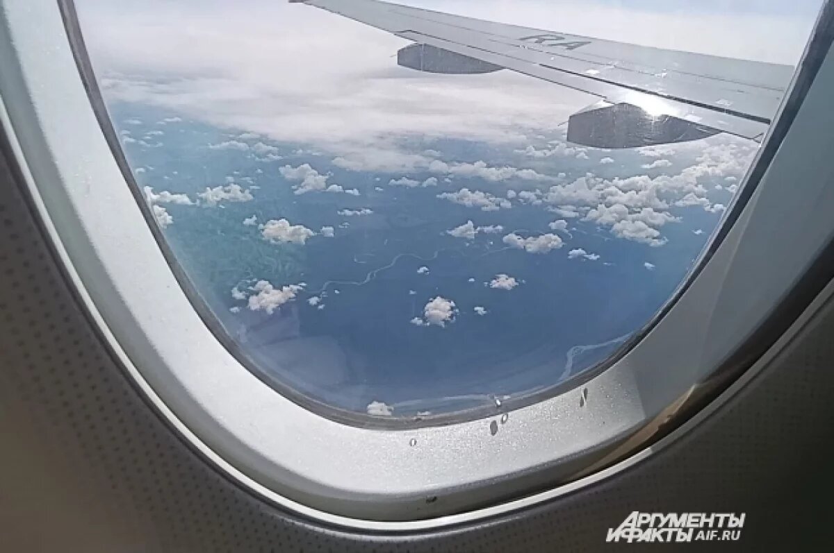    В Иркутске пассажирский самолет столкнулся с птицей в аэропорту