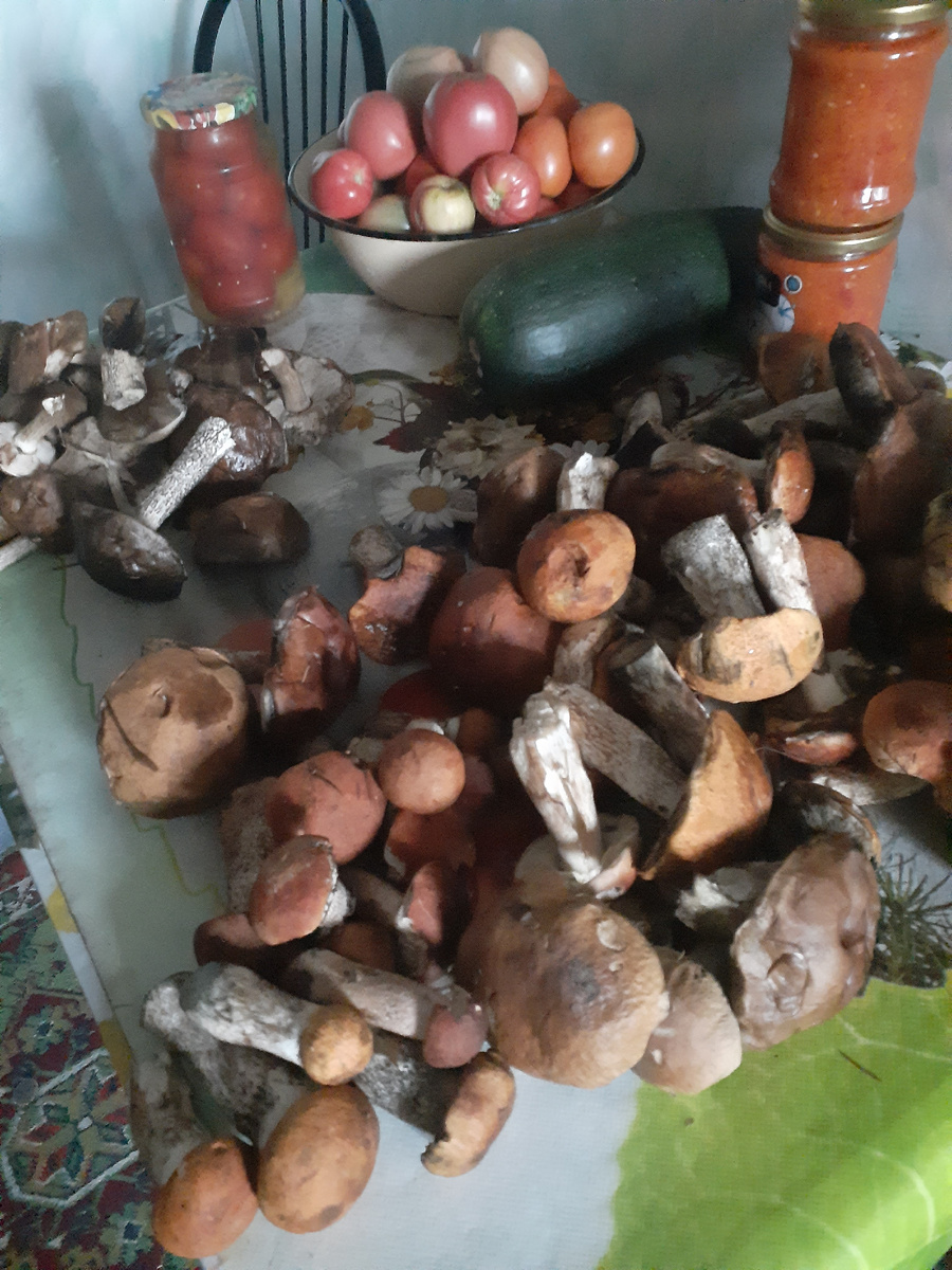 Фото автора.