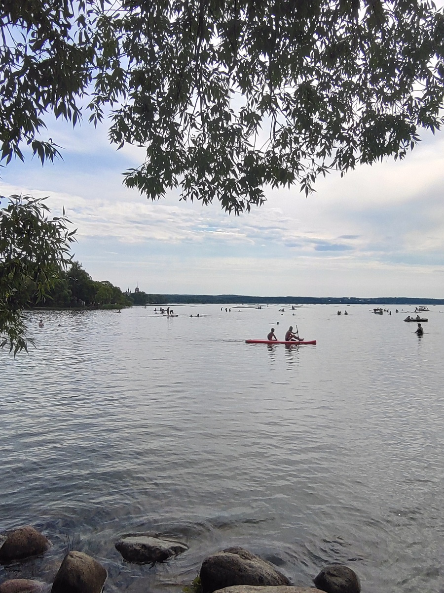 Флотилия из сапов